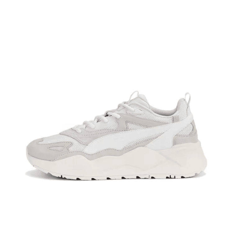 Мужская обувь Puma RS X