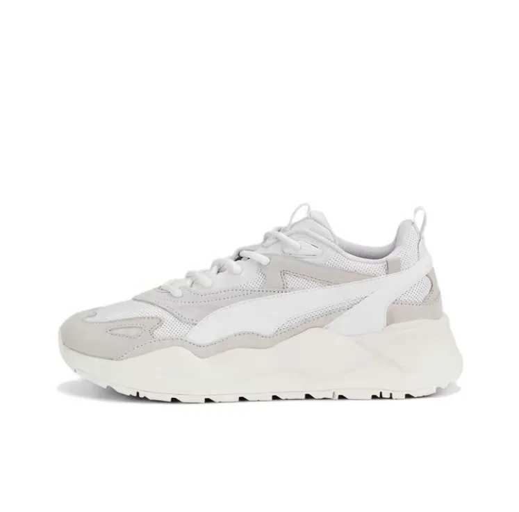 Мужская обувь Puma RS X